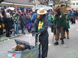 Sarmenstorf Fasnachtsumzug 16.02.2014 (149).JPG